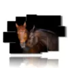 painting with horses that love each other - version: 9 pannelli 171x108cm