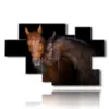 tableau avec des chevaux qui s aiment - version: 8 pannelli 178x111cm