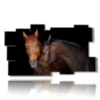 painting with horses that love each other - version: 11 pannelli 184x104cm