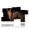 painting with horses that love each other - version: 9 pannelli 184x106cm