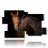 tableau avec des chevaux qui s aiment - version: 12 pannelli 190x119cm