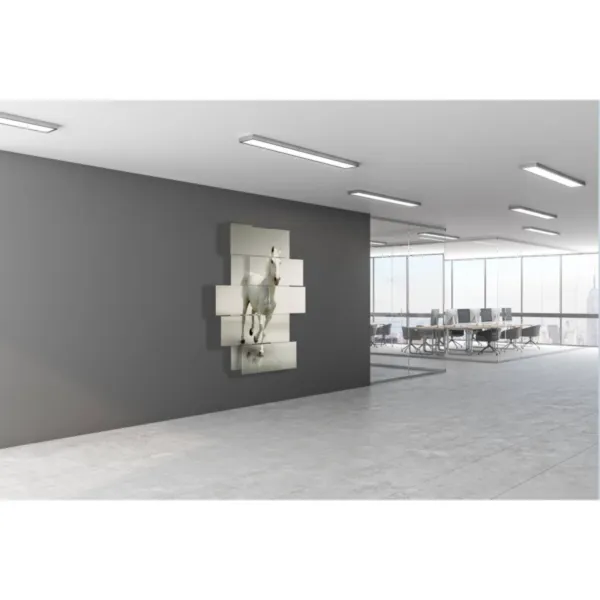 cuadros caballo blanco