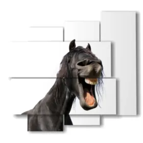 dipinto cavallo arabo