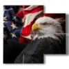 cuadro aves rapaces y bandera americana - version: 4 pannelli 91x85cm