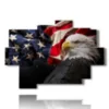 bild greifvoegel und amerikanische flagge - version: 9 pannelli 164x114cm