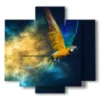 paintings of parrots in a blue yellow powder - version: 5 pannelli 89x85cm