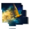 paintings of parrots in a blue yellow powder - version: 6 pannelli 113x99cm