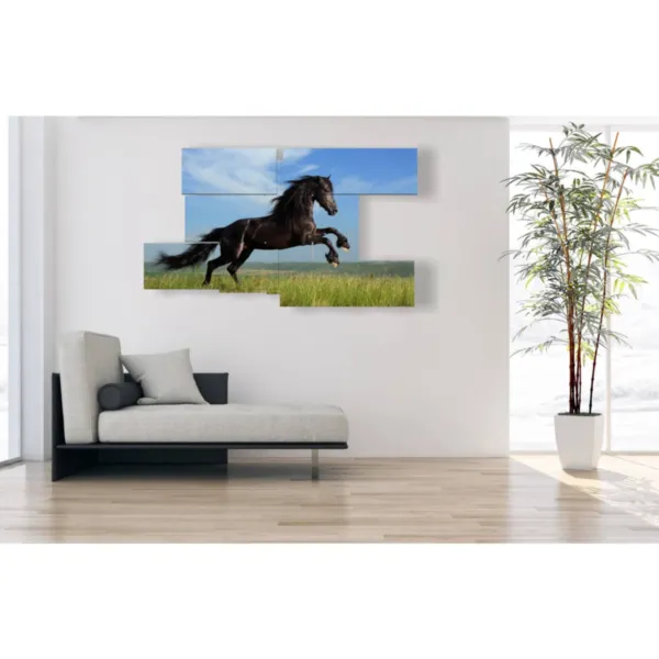 Modern horse paintings