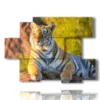 bild mit tiger im hochformat - version: 6 pannelli 129x94cm