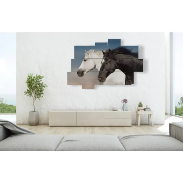 quadri con cavalli bianchi neri immagini stampe design moderne 3d Duudaart