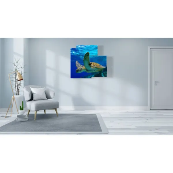 Bilder mit tropischen Fischen