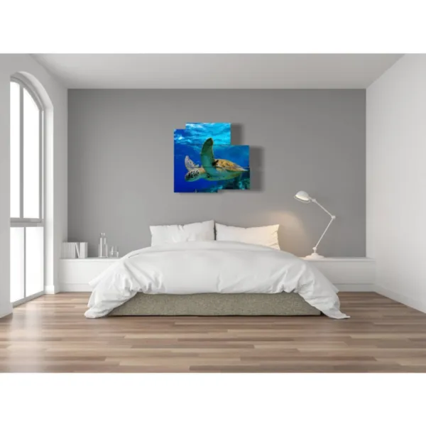 Paintings with sea turtles