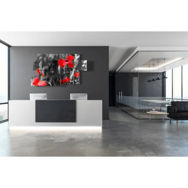 Impressions de coquelicots