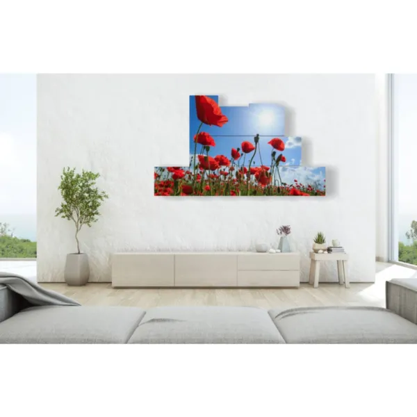 Paintings of red poppies