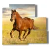 tableaux representant des chevaux courant au coucher du soleil - version: 5 pannelli 102x93cm