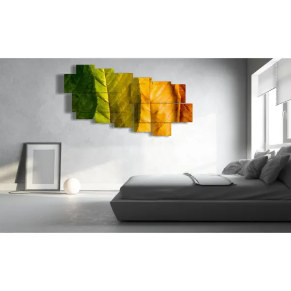 Autumn paintings of the rainbow of leaves