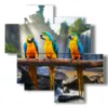 paintings with parrot birds - version: 4 pannelli 97x97cm