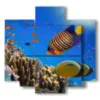 coral reef fish paintings - version: 5 pannelli 89x85cm