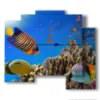 tableaux de poissons de recifs coralliens - version: 5 pannelli 89x77cm
