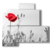 foto di quadri di natura morta con papavero - version: 4 pannelli 83x78cm