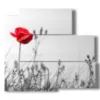 bilder foto von stillleben mit mohn - version: 5 pannelli 102x93cm