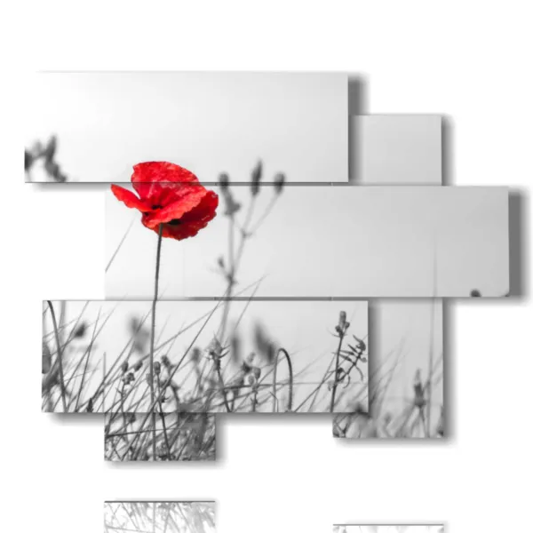 photos de tableaux de nature morte