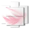 paintings pictures with pink feather - version: 5 pannelli 89x85cm