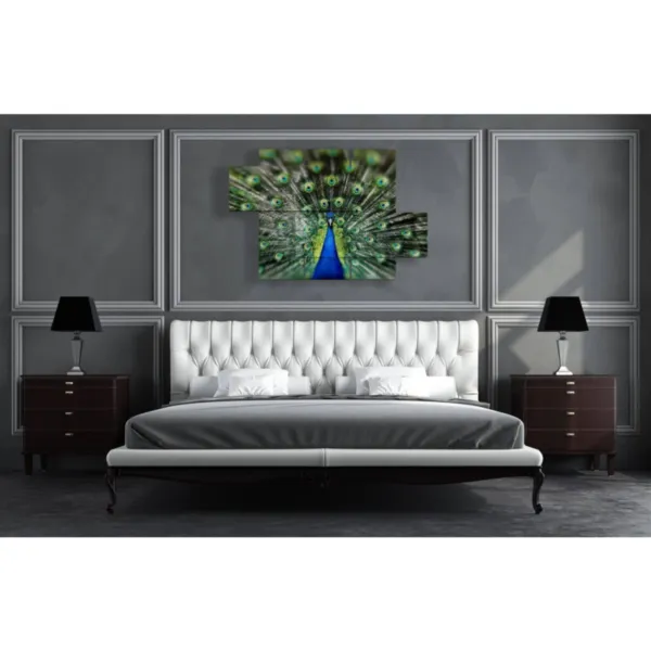 Cuadros pavo real con cola maravillosa