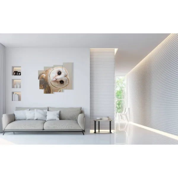 Tableaux avec des oiseaux de hiboux.