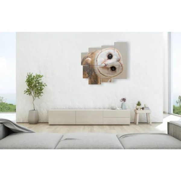 Mod moderne mit Eulen