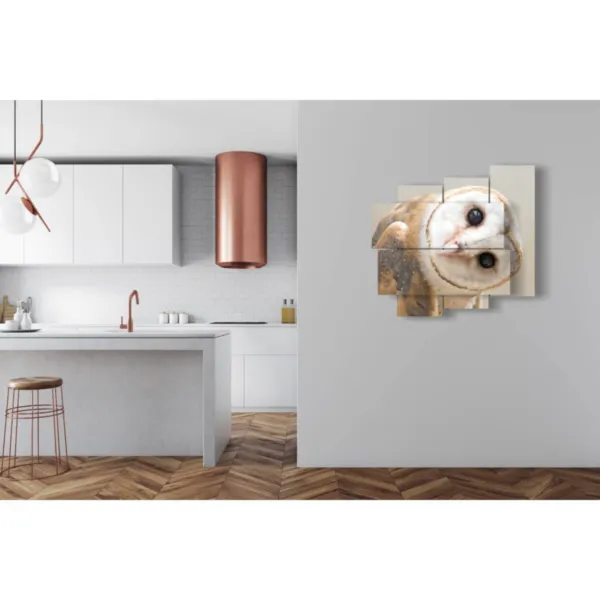 Décorations murales avec des chouettes