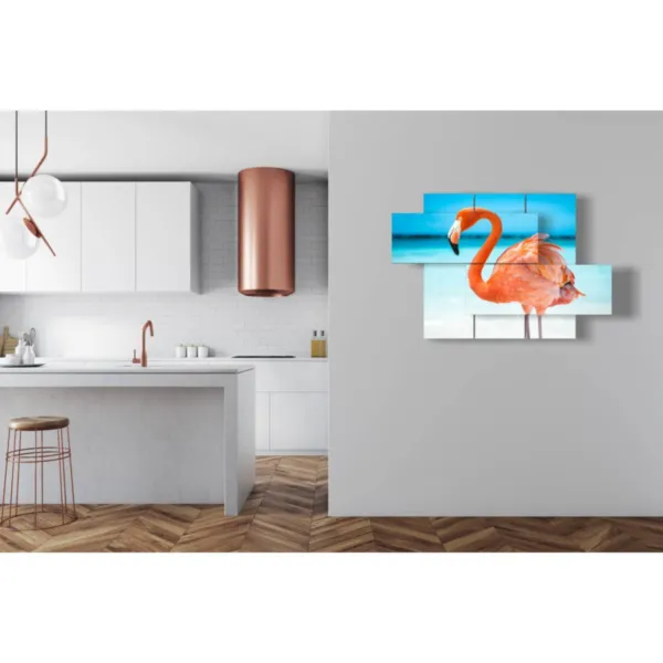 Paintings of colorful birds