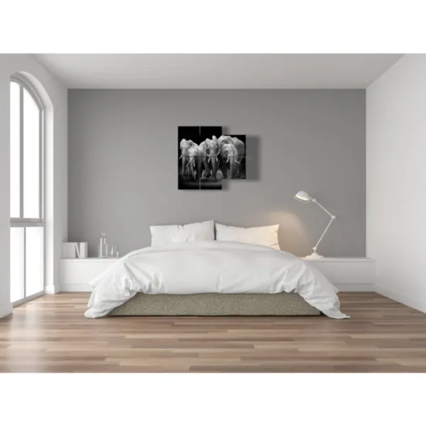 Cuadros elefante