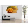 affiche d''automne, citrouilles