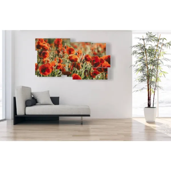 **Imprime les coquelicots.**