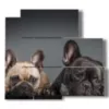 paintings with curious dogs - version: 5 pannelli 102x93cm