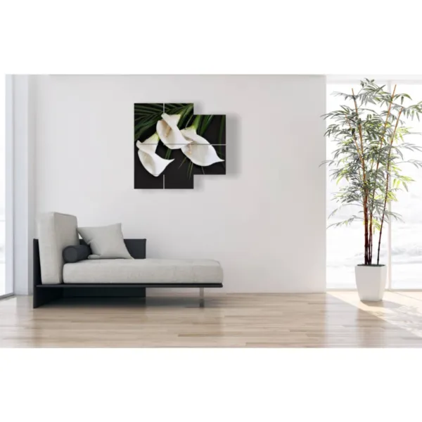 Minimalist white street paintings