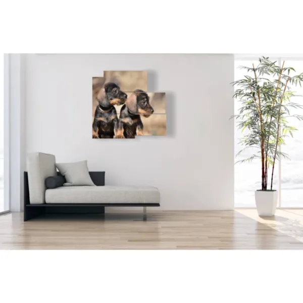 Interior designs featuring images of small dogs