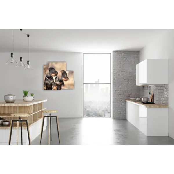 Murales avec des photos de petits chiens