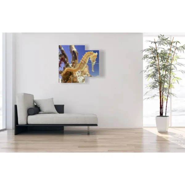 Decorative paintings with fish and seahorses