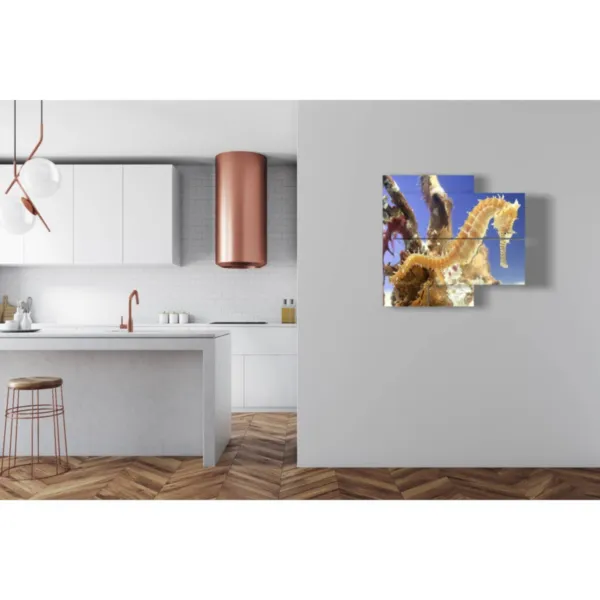 fish and seahorse poster