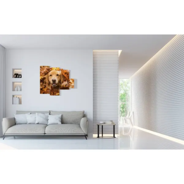 Decorations featuring pictures of cute dogs