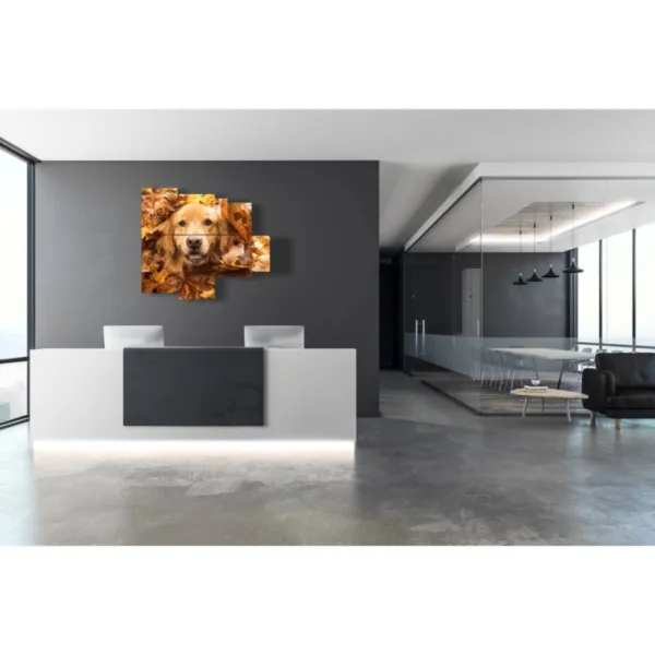 Tableaux pour chambre avec des images de chiens amusants.