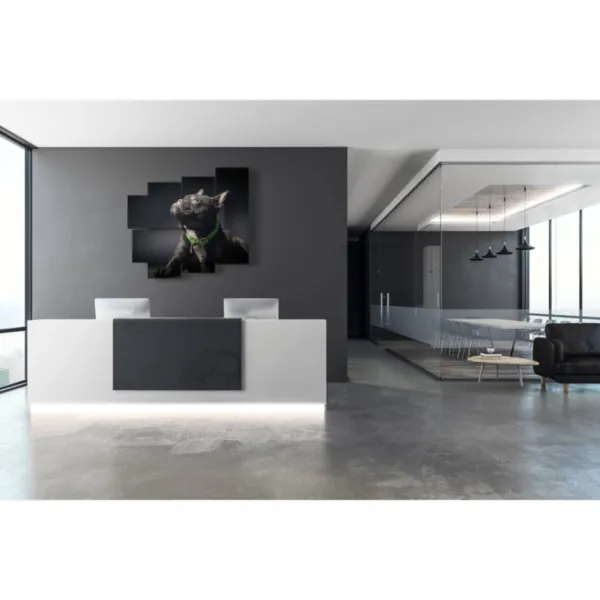 Beautiful dog photo decorations