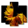 foto cuadros mujer petalos de girasol - version: 5 pannelli 89x85cm