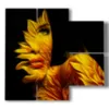 tableaux photos femmes petales de tournesol - version: 4 pannelli 91x85cm