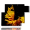 photo paintings women sunflower petals - version: 6 pannelli 122x96cm