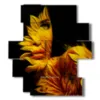 foto cuadros mujer petalos de girasol - version: 11 pannelli 137x151cm