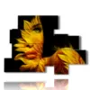 photo paintings women sunflower petals - version: 10 pannelli 171x124cm