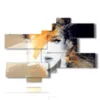 3d paintings abstract prints woman portrait - version: 8 pannelli 182x130cm